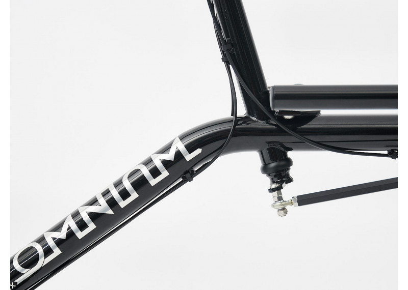 Vélo cargo Utilitaire Omnium Mini Max Wifi 