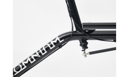 Vélo cargo Utilitaire Omnium Mini Max Wifi 