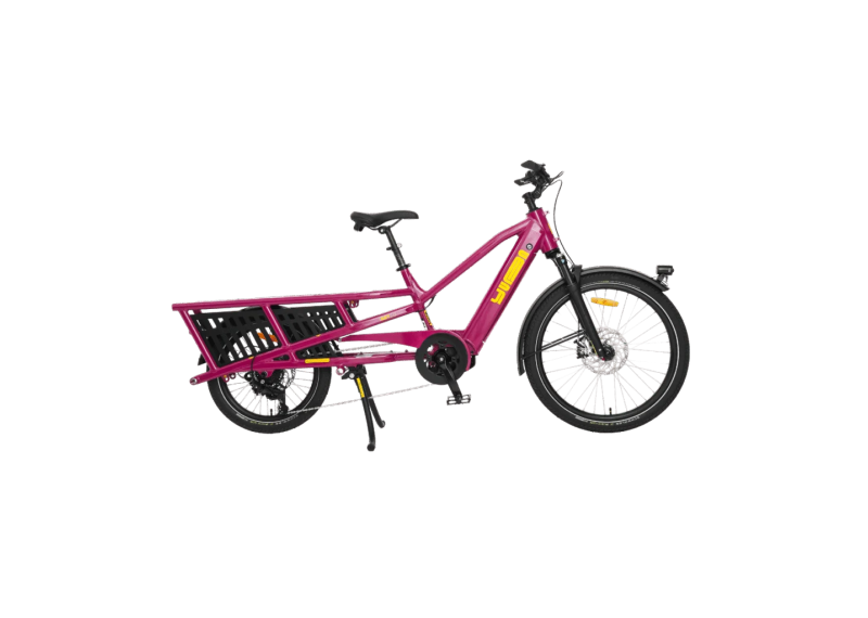 YUBA - Spicy Curry IV électrique