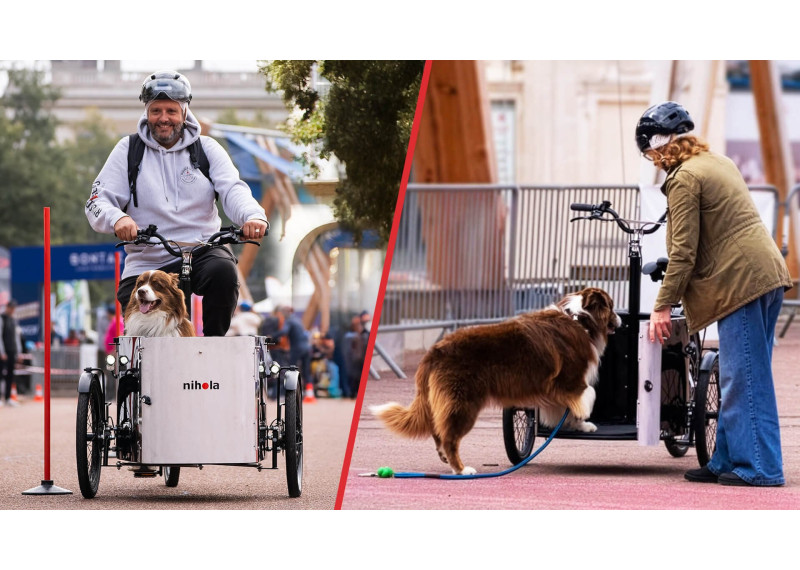 NIHOLA - triporteur - Cargo DOG -...