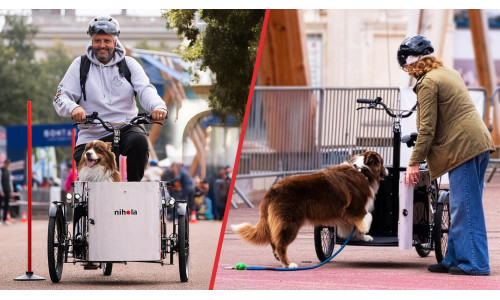 NIHOLA - triporteur - Cargo DOG - électrique