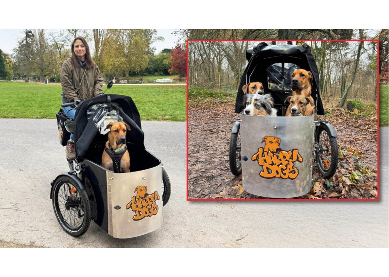 NIHOLA - triporteur - Cargo DOG -...