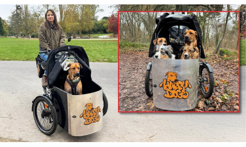 NIHOLA - triporteur - Cargo DOG - électrique